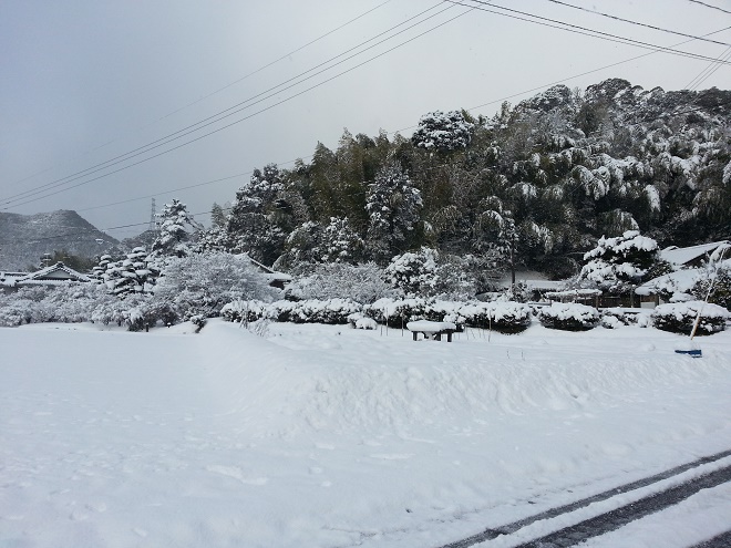 2017.2.11雪①.jpg